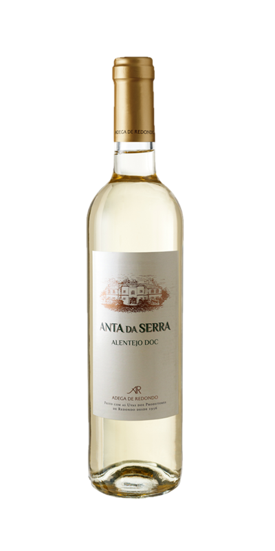 Anta da Serra Branco - Image 1