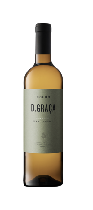 D. Graça Branco