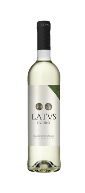 Latus Branco