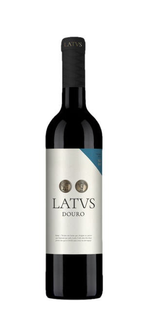 Latus Tinto